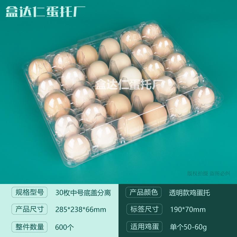 Titular de huevo de plástico desechable con hebilla con tapa a prueba de golpes transparente Tierra huevo caja de embalaje supermercado ventas directas de la fábrica