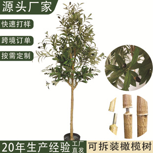 TEMU�羳�����ϙ��Ƶ��쾰�b䱱�W���s�Lֲ����b����������