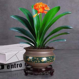 �ļ������m���Ԏ������͏d�Gֲ��������Ʒ���F�m����ֲ���҃ȶ���