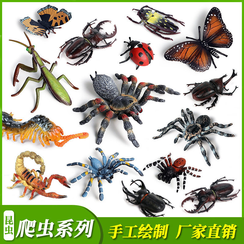 Children's Science and Education Simulation Insect Animal Model Toy Butterfly Unicorn Spider Scorpion Bee Chameleon Ornaments Children's Science and Education Simulation Insect Animal Model Toy Butterfly Unicorn Spider Scorpion Bee Chameleon Ornaments