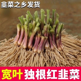 �¾²˸����ϸ��t���²˸��ļ����r�߲�����~�²����̨����