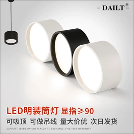 吸顶灯;射灯;风扇灯