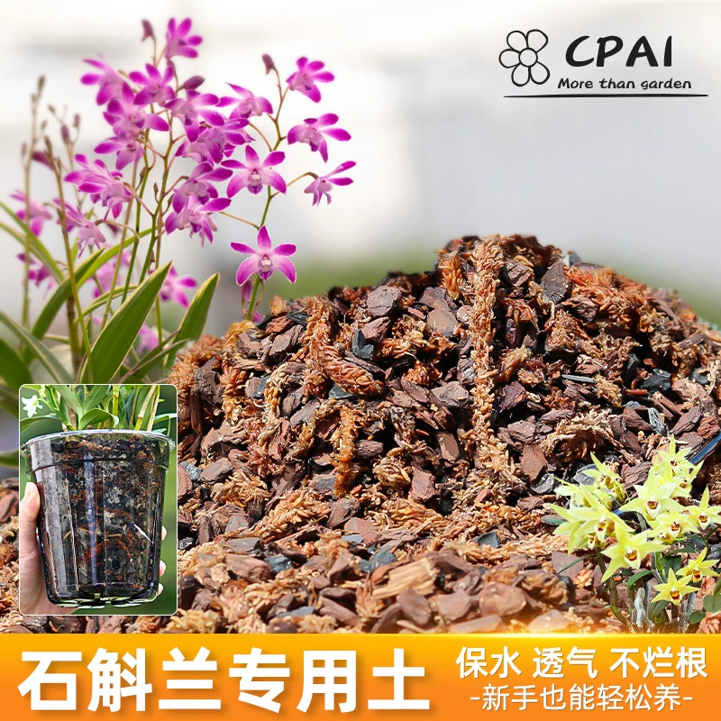 Дендробиум специальная почва в горшке с железным деридом специальная почва удобрения Новая Зеландия сосновая кора Чили водяной мох питательная почва