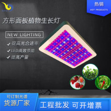 �¿��ƽ��ȫ���V����ֲ������L������R�d���u��S����