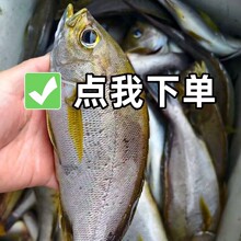 ��������S�u���r�������|�r���S�u��һ�lһ����͚���ȥ���Kһ��