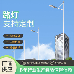 In-Stock Led Road Single and Double Arm Street Lights, Customizable for Public Works, 8.1m Outdoor Energy-Saving Street Light Poles