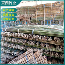 厂家批发竹杆 山药架杆 细竹杆毛竹竿