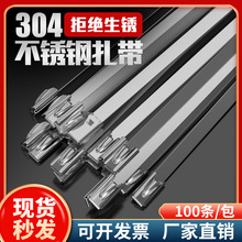 304Piʽ100lۘ4.6*200mm 7.9mm 20mm