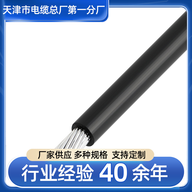 天津天联2x2x0.75平方双绞屏蔽 RS485通讯电缆  电缆厂家