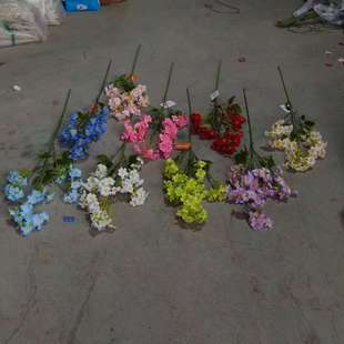 �S��ֱ�N������ͩ���滨�¿��w��ݻ�c·�����Ų廨���T�����b�