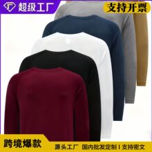 现货跨境外贸美式运动T恤网眼透气简约纯色圆领上衣插肩袖长袖T恤