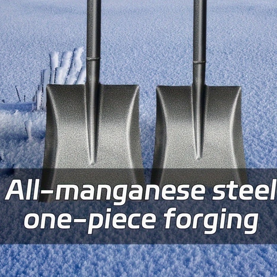 2025-04-15 01:24:05.jpg