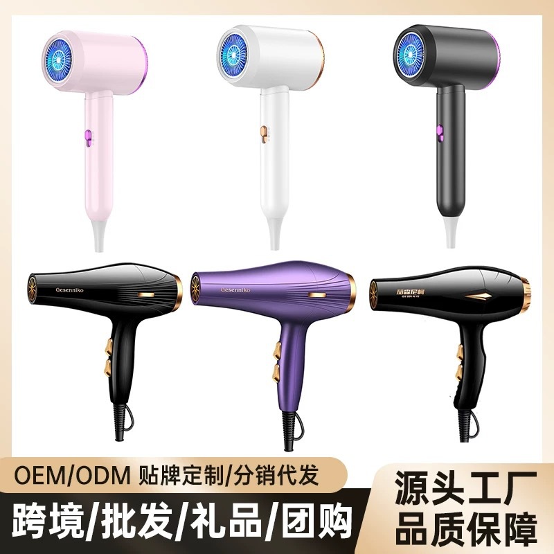 Manufacturer Wholesale Internet Celebrity High-Power Hair Dryer Home Hotel Hair Care Quick-Drying Hair Dryer Cross-Border Gift Live Broadcast