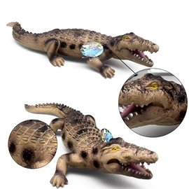 动植物仿真;考古挖掘玩具;其他益智玩具