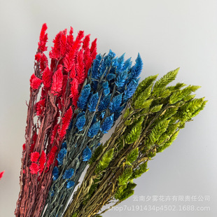 �Pβ�����Pβ�u�ڻ�diy���ϰ�ins�L�����Ĕz���߼Ҿ��b������