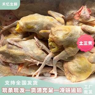 ������2.2-3.2��ɢ�B�����S�u���u��ɽ�u�r��ɢ�B�����Sĸ���u ��
