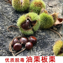 �w���������������ϱ����Nֲ������ͥԺ���Ե��Ԯ���Y���������