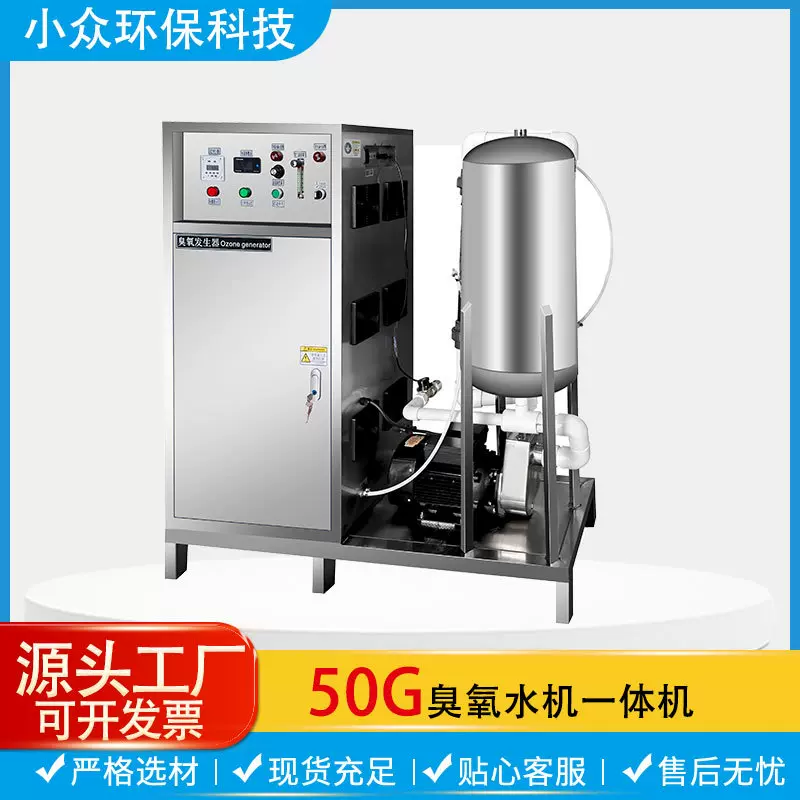 50g臭氧水机大型净水器设备 氧气源工业净化水产养殖活氧机增氧