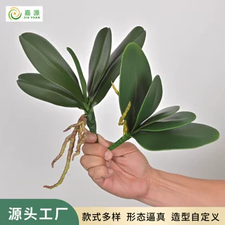 仿真万代叶高级软胶手感蝴蝶兰绿植插花束婚庆家具装饰摆软装配件