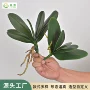 万代手感婚庆仿真蝴蝶兰