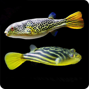 ���R���^�~�ʹ�ëë���^�~����ľ�Ϲ��^�����~���͟Ꭷ��ˮ�^�p�~