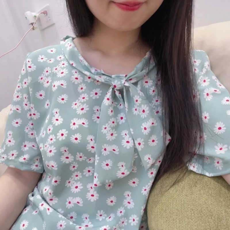 흰 반점 주름 국화