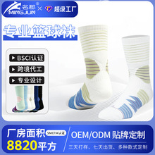 �������˻@���m����ë�������e�����\���m���������Ͳ����͸��