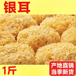 �o���������y���y����ľ��Ŵѩ���������l�y����؛+�ؼ�