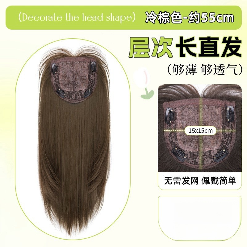Temperament long straight hair without hair net - cool brown