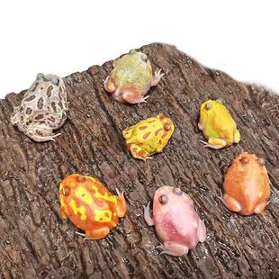 �������܌����^�p�������ؔ�����S��С���ܰ��������Ѡ�ţ�̘���