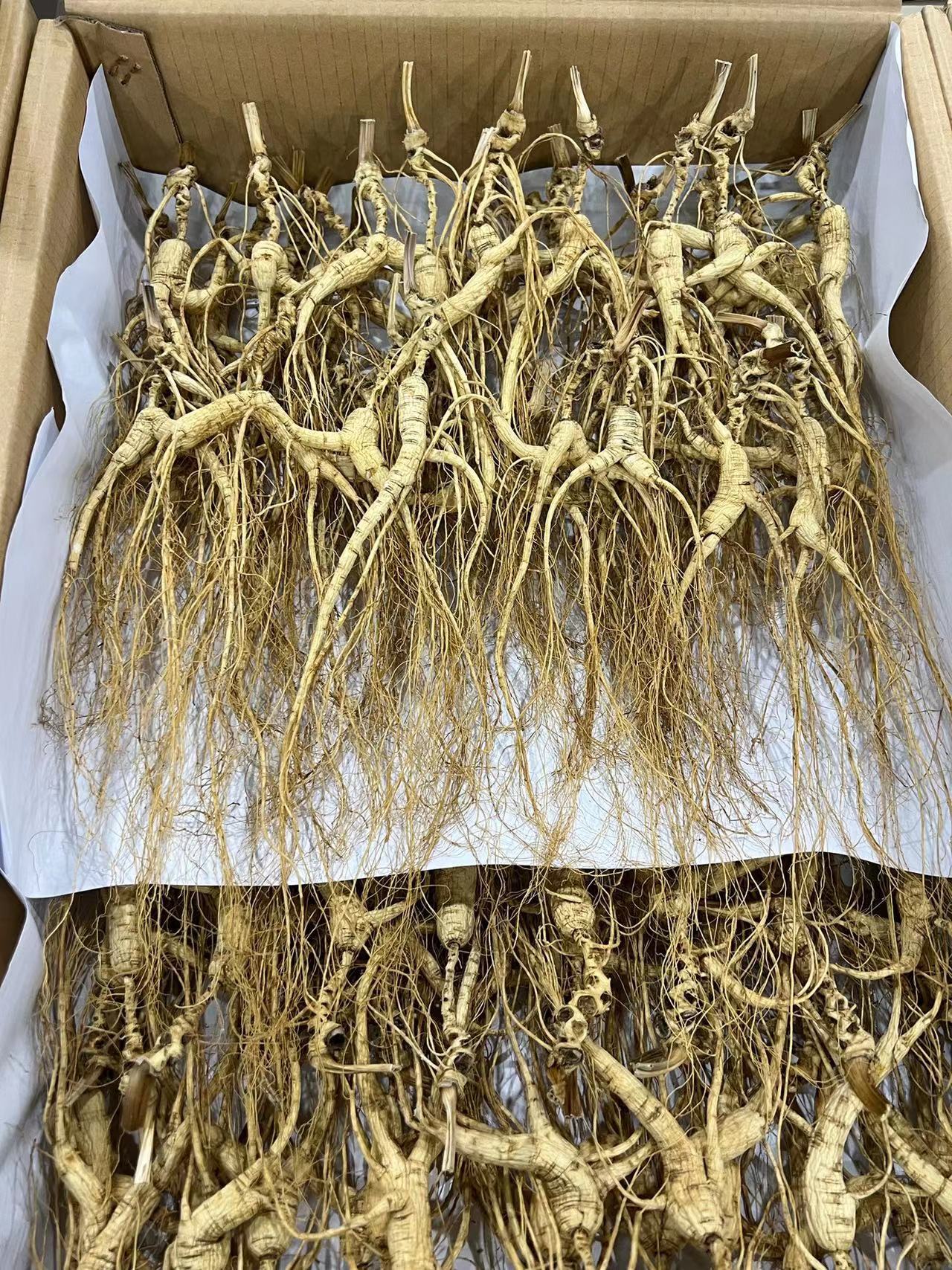 微信图片_20221017225618