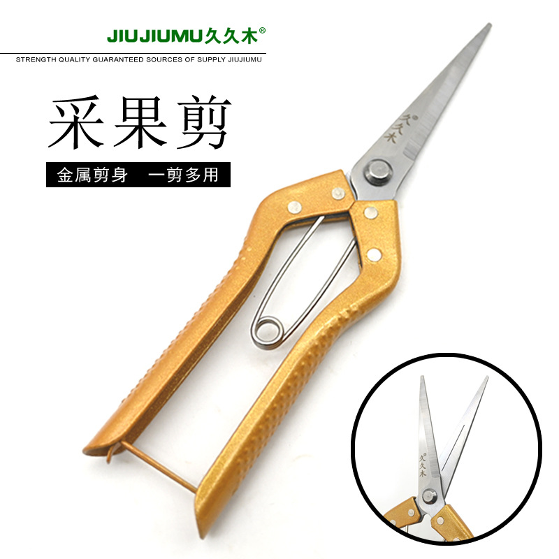 久久木铁柄疏花剪摘果剪花艺稀果剪采摘葡萄黑枸杞插花修枝花枝剪