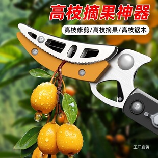 ��֦��ժ��������s�Uժˮ����ժ���˸߿ռ������޼���֦�����г�