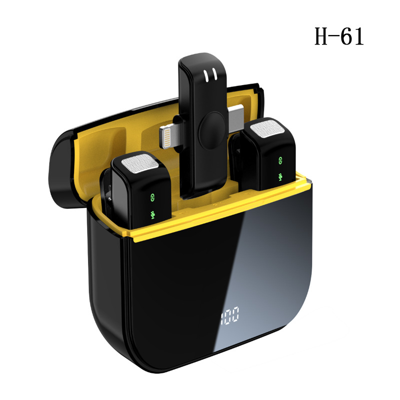 wireless microphone