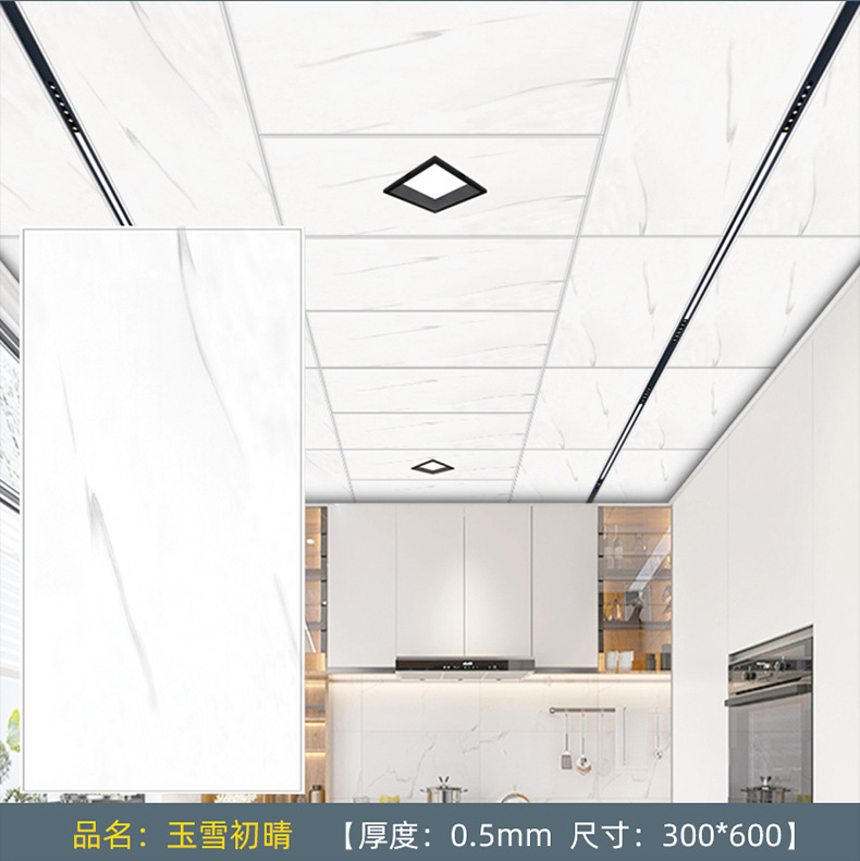 30-60烤漆1-1_11.jpg