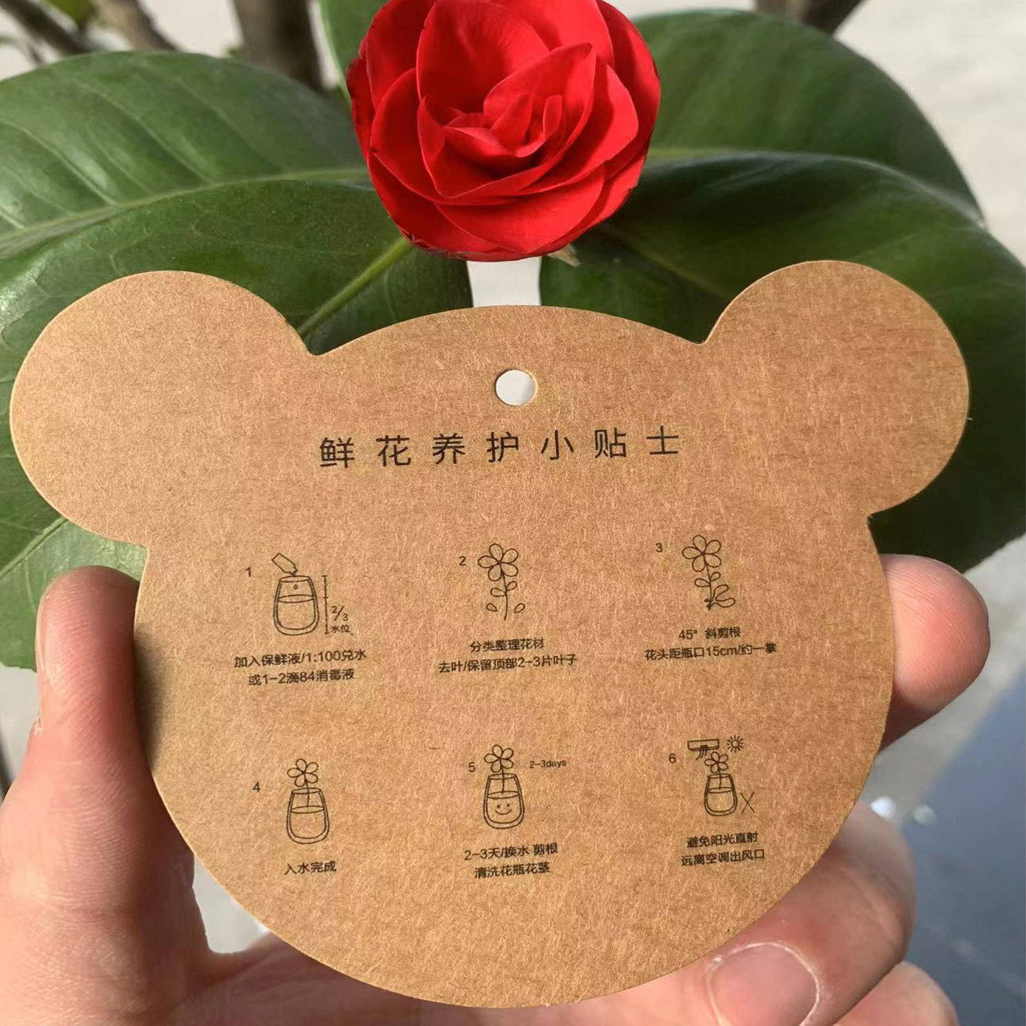 鲜花养护卡现货包邮卡通绿植挂卡标签手写卡花束贺卡复古牛皮纸卡