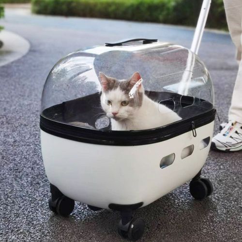 Cat travel pet suitcase portable for two transparent dog bags luggage cat backpack trolley breathable
