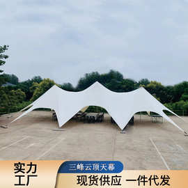 户外云顶野营大型1280D三峰帐篷露营穹顶天幕八爪鱼单双峰莲花