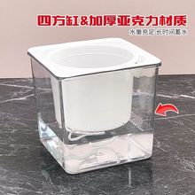 ��������ˮ����Y�����þG�}�跽���ɫ͸�����ڏ������m�o��