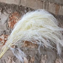 ������횲ݵ��׼Ҿ��bڒ���ֲ�� ��ë����횲ݻ�c�b��J�S��