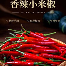 云南新鲜小米辣椒现摘现发特辣超辣薄皮土红辣椒指天椒一斤尝鲜装