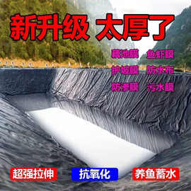 鱼塘防渗膜土工膜防水布蓄水池藕池防渗水护坡防漏黑色塑料布