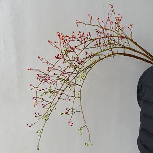 �����֧��̖ɽ�w�� �{���L֦���ٻ�ˇ�g�廨֦�ĵ����b� ������