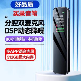 Recording Pen, Ultra-Long Recording, Small Portable High-Definition Noise Reduction, Professional Recording of Meetings, Students' Class Use, Recording Wholesale