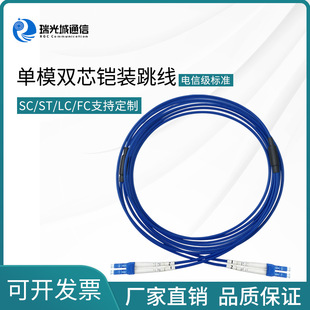 Carrier-Grade Lszh/Pvc Fiber Optic Jumper Single-Mode Dual-Core Lc/St/Fc/Sc Square Head Round Head Armored Pigtail