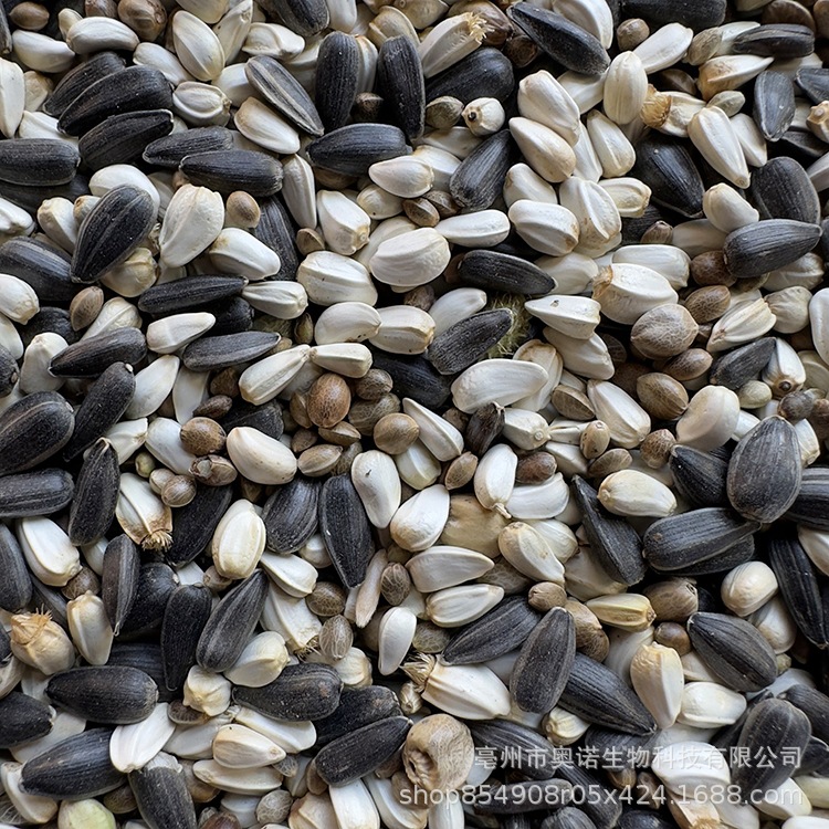 三合一混合油葵 红花籽麻子中大型鹦鹉鸟粮牡丹玄凤鸟食