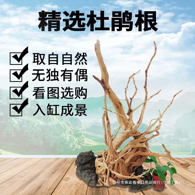 杜鹃根沉木造景木树形水族箱鱼缸装饰造景摆件栖根小号看图选树根