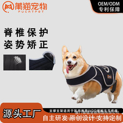 動物整形外科ケア 犬用背骨サポートブレース IVDD関節痛の犬用背骨ケアに最適