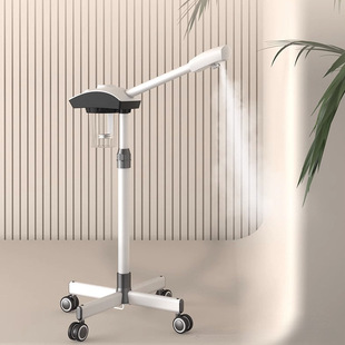 Hot Spray Machine Facial Steamer Beauty Salon Large-Capacity Sprayer Nano Humidification Hydration Instrument Spray Facial Household