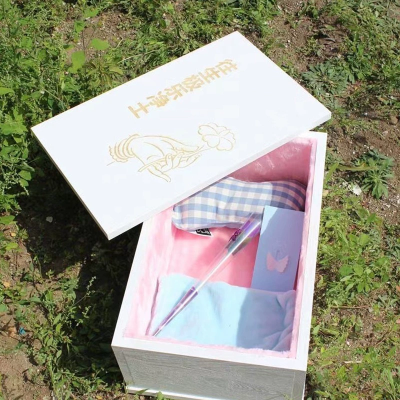 Домашняя кошка собака маленький гроб домашний гроб кот собака умирает